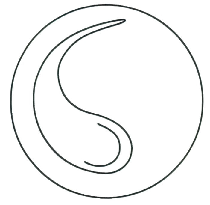 The Saucey List